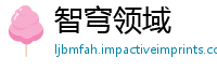 智穹领域